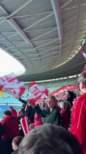 Canadian soccer fans rally with flags at Vienna stadium