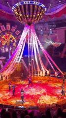 Circus performance and sunny street scenes in Sochi
