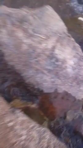 The video shows water flowing over and around rocks in a stream or river. The rocks are brownish-grey and appear to be of varying sizes. The water is clear with white foamy rapids as it rushes over the rocks. The camera angle is positioned close to the water level, looking down on the scene.