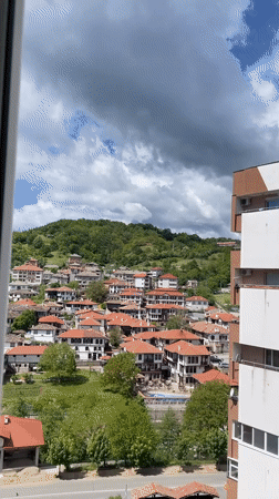 Morning scenes with kittens and pets in Bulgarian town