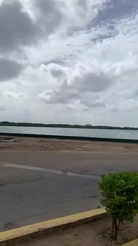 A video captures a coastal scene under a cloudy sky. In the foreground, a paved road runs diagonally across the frame, bordered by a yellow curb and a sandy area with sparse vegetation. Several small trees with green foliage are planted along this border. Beyond the road and vegetation is a body of water, likely the sea, with small waves. A distant shoreline is visible with greenery and a faint hill or mountain. Several small dark shapes, possibly birds, are visible in the sky. A white boat with a blue canopy is sailing on the water, and closer to the shore, a smaller, older-looking boat is moored. The overall impression is a serene, slightly overcast day by the coast.