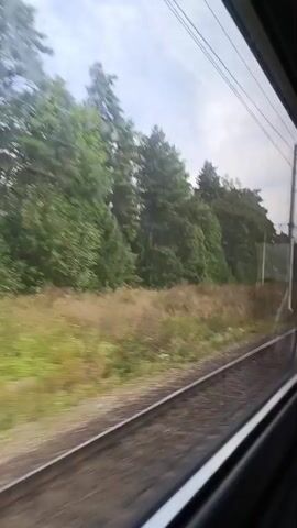 The video shows the interior of a train carriage from a side-facing perspective, looking out a window. The view outside the window is of a green, wooded landscape with train tracks running alongside. The train appears to be in motion, as indicated by the blurred scenery. Inside the train, a person is visible sitting and reading a newspaper. Other passengers and train car details are partially visible in the background. The lighting suggests it is daytime.