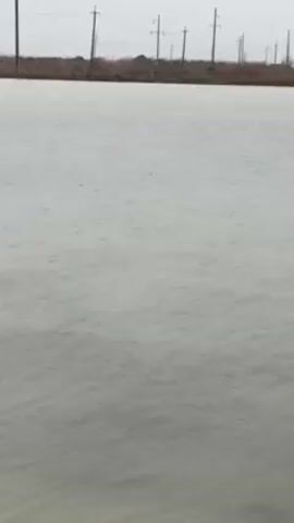 The video shows a gray-colored body of water rippling in the wind. The water appears to reach the edge of a land mass in the distance, where there is a line of electrical poles. There are also a few bare trees visible in the background. The sky is overcast. At one point, a small object, possibly debris or a creature, floats briefly on the surface of the water.