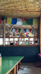 Monsoon-swollen Ganges, riverside ghats, and langurs in Rishikesh