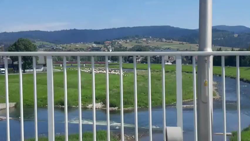 The video shows a view from a bridge overlooking a rural landscape on a sunny day. In the foreground, a white metal railing is visible. Beyond the railing, a river flows, with some rocks and white water features. The riverbanks are lined with green grass. In the middle ground, a flock of sheep is scattered across a grassy field. Several houses and buildings are visible in the background, nestled on rolling hills covered with trees. The sky is clear and blue, with some faint clouds. The overall scene suggests a peaceful, pastoral setting.