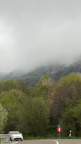 The video shows a roadside scene. A white car is parked on the side of the road. A sign indicating a curve in the road is visible. Lush green trees fill the midground and a mountain shrouded in thick fog dominates the background. The sky is overcast.  A black car passes by.
