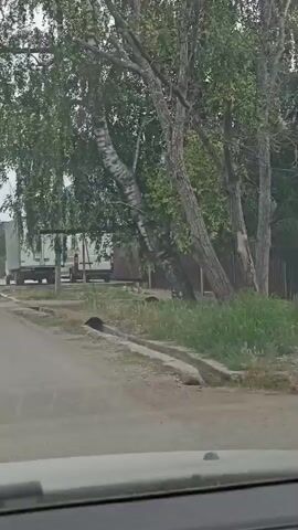 The video shows a view from a vehicle driving down a paved road. On the right side of the road, there is a white truck. Beyond the truck, there are houses, fences, trees, and utility poles with power lines. In the background, there are mountains under a cloudy sky. The scene appears to be a rural or suburban residential area.