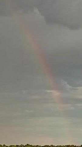 The video shows a natural phenomenon. A faint rainbow is visible in a cloudy sky. The sky is predominantly gray, with darker clouds obscuring the sun. The rainbow is an arc of muted colors, appearing as a pastel stripe against the overcast sky.

Below the sky, a strip of green vegetation is visible, suggesting an outdoor setting. The vegetation appears to be fields or possibly a grassy area with some trees in the distance. The overall atmosphere is serene and perhaps a little melancholic due to the cloudy weather. The presence of the rainbow, however, offers a touch of natural beauty and wonder. The time of day is indeterminate due to the cloud cover, but it's likely daytime. There is no visible text in the video.