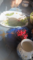 Sunny breakfast table: eggs, bacon, berries, and fresh-poured tea