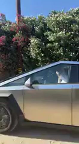 The video shows a silver/grey Tesla Cybertruck on a paved surface, likely a driveway or street, on a bright, sunny day. The sky is clear blue. In the background, there are lush bushes and trees with green and reddish-brown foliage. Power lines and utility poles are visible against the sky.

At the beginning of the clip, the front-right side of the Cybertruck is visible, with its large black wheels and distinctive angular design. As the video progresses, the camera pans slightly, and the Cybertruck begins to move forward, turning to the left and driving away from the viewer. Another dark-colored car, possibly another Tesla, can be seen briefly following the Cybertruck or parked behind it.

An off-screen person is heard speaking, saying, "...Dr. P is here." The tone of voice suggests excitement or surprise. There is no visible text in the video. The setting appears to be an outdoor residential or suburban area, given the presence of foliage and power lines.