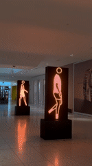 Aventura Mall displays and installations documented by witnesses
