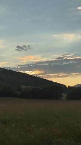 This media file depicts a picturesque landscape scene at dusk. The primary subjects are a gently sloping hill covered in dense forest, transitioning to a field of tall, dry grass in the foreground. The sky above is a dramatic display of clouds, with patches of orange and yellow light breaking through, indicating the sun is setting or has just recently set. The overall mood is serene and tranquil, evoking a sense of peace and the beauty of nature. The time of day is clearly evening, given the low angle of the sun and the soft, diffused light. There are no people or specific objects visible, making it a purely natural scene. The location context provided is Meshtitsa, Bulgaria, which helps to identify the geographical setting of this rural panorama. No text is visible within the frame.