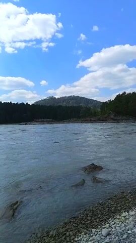 The video shows a wide river flowing with rapids. The riverbank is covered in grey pebbles and stones. On the opposite bank, there is a dense forest of dark green pine trees, with hills covered in similar trees in the background. The sky is blue with scattered white clouds. The camera pans slowly to the right, showing a wider view of the river and the surrounding landscape.