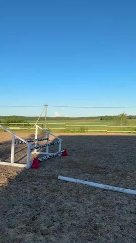 A horse and rider are shown in an equestrian arena. The horse is brown and the rider is wearing a helmet and riding attire. The horse is in mid-air, jumping over a white obstacle. The obstacle is made of two white standards with horizontal poles. There are red cones placed at the base of the standards. The arena is made of sand. In the background, there is a fence, a field of grass, and trees under a clear blue sky. The video appears to have been filmed at dusk, as indicated by the soft lighting.