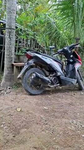 An outdoor, eye-level, full shot features a black, white, and red Honda Beat scooter motorcycle parked on a dirt and gravel surface. The motorcycle is positioned facing right, with its side stand down. The word "Beat" is visible in white lettering on the side panel. The bike appears somewhat dirty or dusty, particularly on its wheels and exhaust pipe, suggesting regular use in varied conditions.

The setting is lush and green, indicating a tropical or subtropical environment. To the left, a large tree trunk stands prominently. Behind the motorcycle, a dense array of green foliage and plants, including several palm-like fronds, fills the background. A wooden bench holding potted plants is partially visible behind the tree trunk on the left, hinting at a dwelling or managed garden space nearby. The ground is composed of loose brown dirt and small stones, with a few scattered dry leaves. The lighting suggests it is daytime, with diffused light filtering through an overhead canopy or under an overcast sky, creating a soft illumination without harsh shadows. The overall scene conveys a simple, natural, and possibly rural or semi-urban environment in a tropical climate, consistent with a location like Meunasahreudeup, Indonesia.