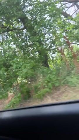 The video shows a view from inside a vehicle, looking out the window at a wooded area. Trees with green leaves line the side of a dirt road. The camera is moving, suggesting the vehicle is in motion. The lighting indicates it is daytime, possibly overcast.