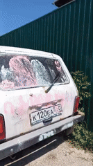 Paint-splattered car and pedestrian observed in Yudino, Russia