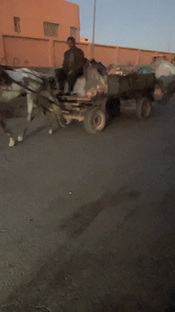 Motorcycle, horse-drawn cart observed in Marrakesh traffic