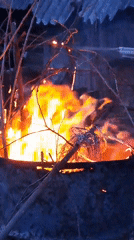Evening bonfire gathering captured in Полянки, Russia