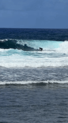 Early morning surfing session observed in General Luna waters