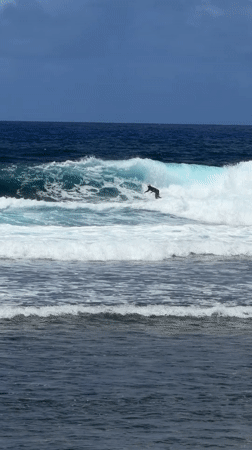 Early morning surfing session observed in General Luna waters