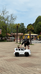 Families enjoy morning activities at Sochi park