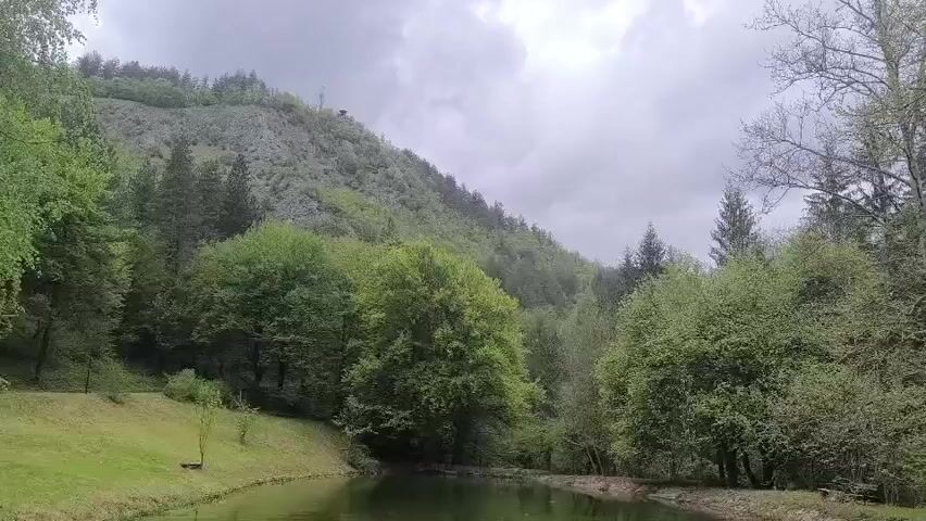 The video shows a picturesque view of a small lake or pond surrounded by lush greenery. A grassy bank slopes down to the water's edge, bordered by various trees, including deciduous and evergreen varieties. In the background, a hill rises with a mix of trees and exposed rock or soil. The sky is overcast with gray clouds. There are no people visible in the scene.
