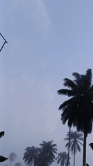 Foggy tropical morning mixes outdoor scenes with casual indoor portraits