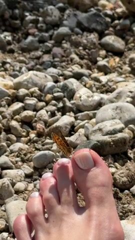 The video shows a close-up view of a person's bare foot resting on a bed of smooth, multi-colored rocks. A small, orange and brown butterfly is perched on the big toe. The background is blurred, but appears to be a body of water with sunlight reflecting off the surface. The rocks are varied in size and color, ranging from white to gray to tan. The person's toenails are painted a light, neutral color. The camera angle is from above, looking down at the foot and the butterfly.