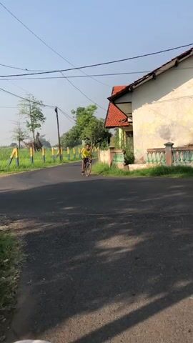 A young boy rides a bicycle down a paved road lined with grass and yellow and blue striped posts. He wears a yellow shirt and dark shorts. To his right, a building with a red-tiled roof and a light-colored, textured wall stands behind a low green fence. Trees are visible in the background under a clear blue sky. Power lines are strung across the upper portion of the frame.