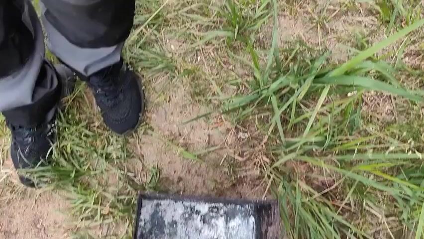 This video captures an outdoor scene, likely a picnic or barbeque, in a natural setting near Männiku, Estonia. The primary focus is on food preparation and relaxation by a body of water.

In the foreground, a person's feet wearing black athletic shoes are visible, standing on a dirt and grass-covered ground. Next to them is a black barbeque grill with glowing coals and white ash, holding several skewers of sausages that are being cooked.

Adjacent to the grill are two blue plastic bags, one appearing to contain food items, and two green glass bottles, possibly containing beverages. The scene suggests a casual gathering in a park or campsite.

As the camera pans, the view shifts to a grassy bank sloping down to a body of water, likely a lake or river, with visible ripples. A fishing rod is set up on the bank, indicating fishing as another activity taking place. The background shows a dense line of trees, with a slightly overcast sky, suggesting it might be late afternoon or early evening. The overall atmosphere appears relaxed and leisurely. There is no visible text in the media file.