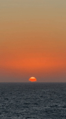 Gulf sunset documented by witnesses with birds in flight