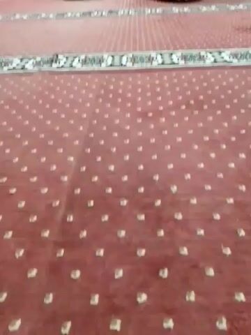 The video shows a view from a low angle, looking across a red carpet with a repeating pattern of small white dots and a decorative border. Several men are sitting on the carpet, facing away from the camera towards a wall with an arched opening. They are dressed in traditional clothing, and many are wearing skullcaps. The environment appears to be a mosque, given the carpet and the arrangement of people. A clock is visible on the wall above the arched opening. The men seem to be engaged in prayer or a similar religious activity, as they are all facing the same direction and sitting in a quiet, attentive manner. The lighting is somewhat dim, suggesting an indoor setting.