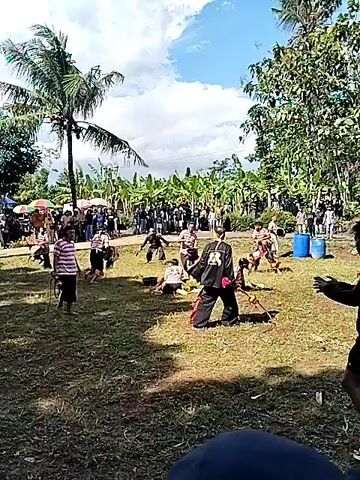 The video shows a traditional Indonesian martial arts performance. Several people in black clothing with gold accents are seen wielding sticks and performing choreographed moves. One person is shown lying on the ground, likely as part of the performance. The performance is taking place in a grassy field, with a crowd of people watching. There are several trees and buildings in the background, suggesting a rural or village setting. There is a large speaker system set up nearby, likely providing music for the performance. The sky is blue with scattered clouds.