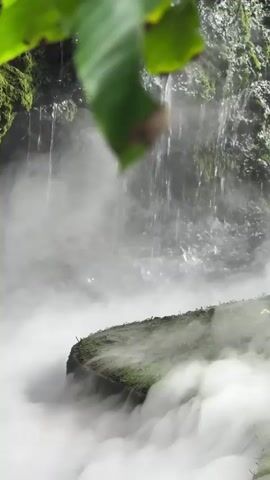 A misty waterfall cascades down a mossy rock face into a pool shrouded in thick fog. A large green leaf hangs from the top left of the frame, partially obscuring the falling water. In the foreground, a curved rock covered in grass juts out into the fog. The water is blurred due to the slow shutter speed, creating a sense of movement and tranquility. The overall impression is one of a secluded, serene natural environment.