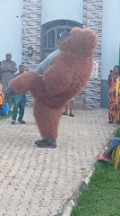 Gorilla-costumed dancer draws crowd in Rido, Nigeria