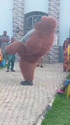 Gorilla-costumed dancer draws crowd in Rido, Nigeria