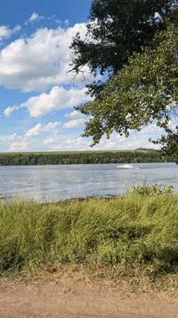 Oxentea, Moldova