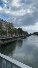 Seagulls gather along riverbank in Rijeka, Croatia