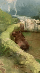 Zoo animals observed in exhibits at Yekaterinburg facility