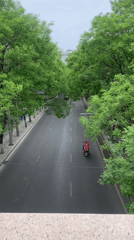 Elevated view captures red scooter on tree-lined street