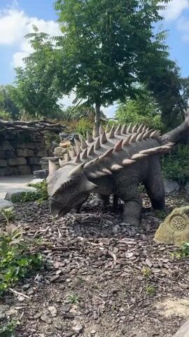 The video shows an outdoor exhibit with several animatronic dinosaurs and people walking around. The first shot focuses on a dinosaur with armored plates and spikes, which appears to be a model of an Ankylosaurus. It is low to the ground with its head down, as if grazing. The ground is covered with wood chips and rocks, and there are plants around it. The next shots show a path with people walking. One person is seen walking away from the camera, and another group is looking at something off-screen. Several animatronic Tyrannosaurus Rex models are visible in the background, posed in aggressive stances. Some people are pointing towards the dinosaurs, and one person is pushing a stroller. The environment is lush with trees and vegetation under a bright, partly cloudy sky. The overall scene depicts a dinosaur park or exhibit designed for public viewing.