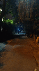Nighttime scenes captured in Da Lat show quiet road, illuminated church