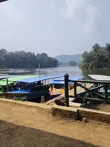 The video opens with a wide shot of a lake with several boats docked at a pier. The boats are of various colors, with blue, green, and yellow awnings. The water is calm, and the surrounding landscape is lush with trees and hills. The sky is clear and blue. The camera then pans to the right, showing more boats and the pier. A railing made of dark green metal with a wooden top separates the viewer from the pier. In the foreground, there is a dirt path and some concrete structures. As the video progresses, a person wearing a white shirt and dark shorts is seen walking into the frame from the right, briefly posing for the camera before continuing to walk out of frame. The video continues to show the lake and boats, with a slight wobble as if being handheld. The overall impression is that of a peaceful and scenic location, likely a tourist spot.