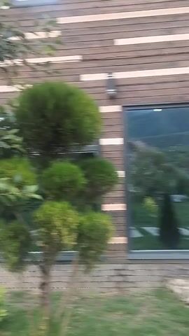 The video shows a well-maintained yard with a modern house. In the foreground, there is a neatly trimmed evergreen bush with a spherical top, positioned in front of a building with horizontal wooden siding and large windows. To the left of the bush, a deciduous tree with green leaves and some small green fruits is visible. The ground is covered in grass, with a few flagstone path segments. A brick wall runs along the base of the building. The house has a contemporary architectural style with clean lines. The overall impression is one of a suburban or rural setting with a focus on landscaping and modern design. The video appears to be a simple pan of the yard and house.