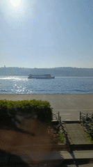 Ferry crosses sunny Bosphorus Strait near Sarıyer, Istanbul
