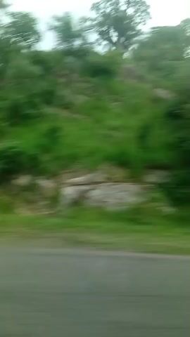 The video shows a blurry landscape with green trees and vegetation on a hillside, alongside a gray road. The motion blur suggests the video was recorded from a moving vehicle. The scene appears to be an outdoor natural environment, possibly a rural or roadside setting, with no people or distinct objects clearly visible due to the blur.