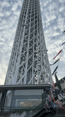 Traditional carp streamers displayed at Sumida street festival near Skytree