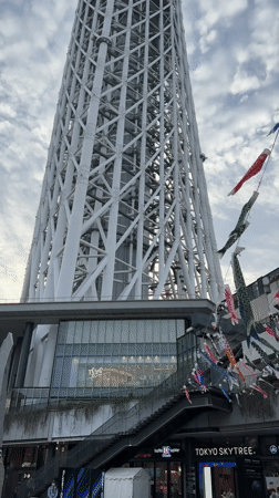 Traditional carp streamers displayed at Sumida street festival near Skytree
