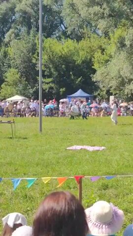 The video shows a daytime outdoor event with a crowd of people gathered on a grassy field, watching an activity around a tall wooden pole. In the foreground, a part of the heads of two spectators is visible. In the middle ground, a person in a white outfit is walking away from the camera, and another person is pushing a wheelbarrow with a person in a white shirt and green hat inside it. There is a small table with two objects on it to the left of the pole. A checkered cloth lies on the grass near the pole. In the background, there are tents and trees. Colorful triangular flags are strung across a wooden fence in the foreground. The overall impression is of a festive gathering or competition.